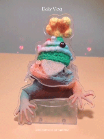 Custom Bearded Dragon Bobblehead, Personalized Pet Shaking Ornament, Desk & Home Decor, Car Accessory, Pet Lover Gift